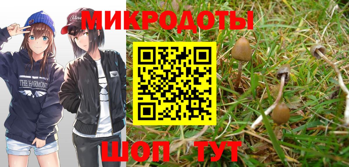 Галлюциногенные грибы мицелий Саяногорск