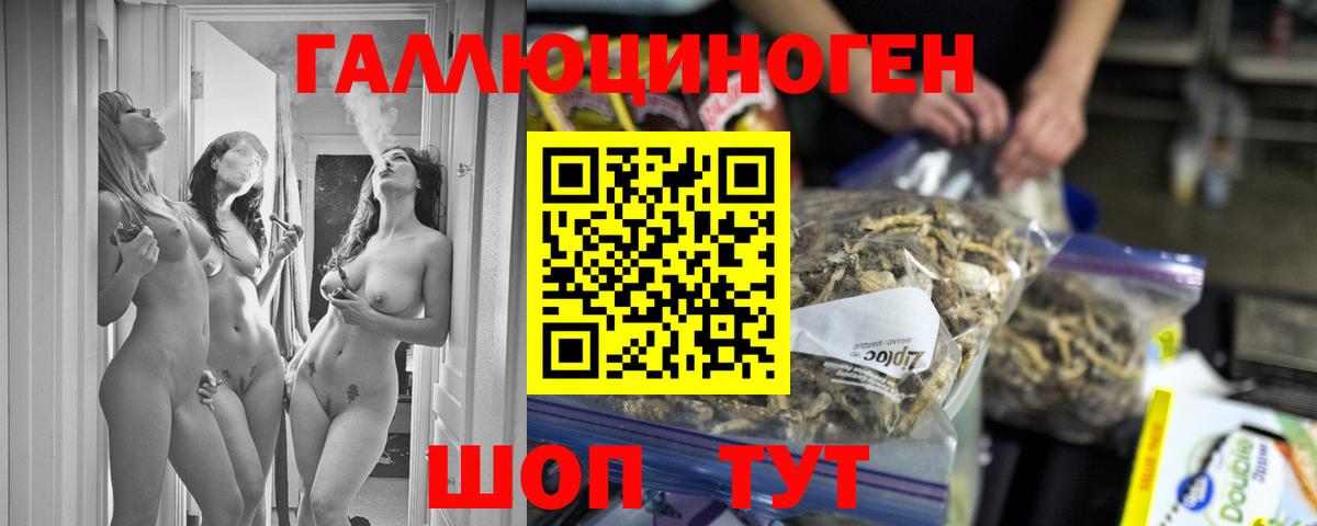 Галлюциногенные грибы Psilocybine cubensis  Вход с VPN  Псилоцибиновые грибы Psilocybine cubensis  Саяногорск 